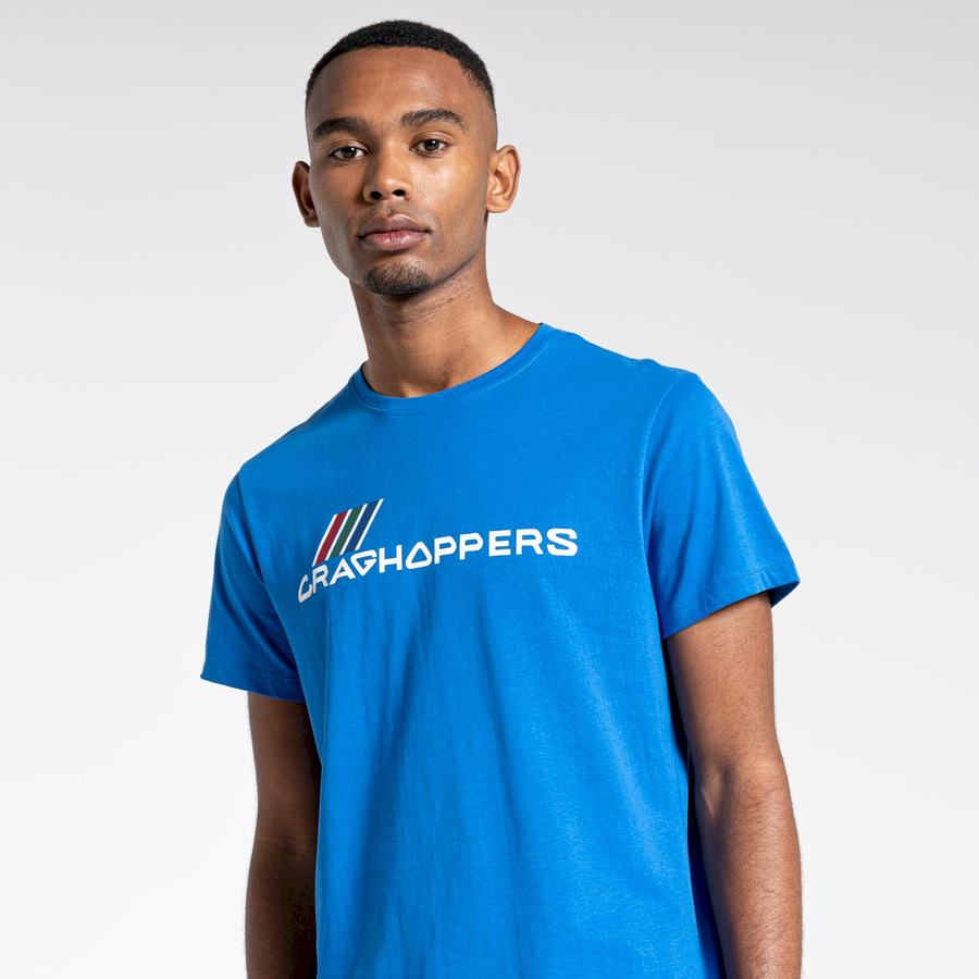 Blue Craghoppers Lugo Short Sleeved Men's T-Shirts | NJI334DQ