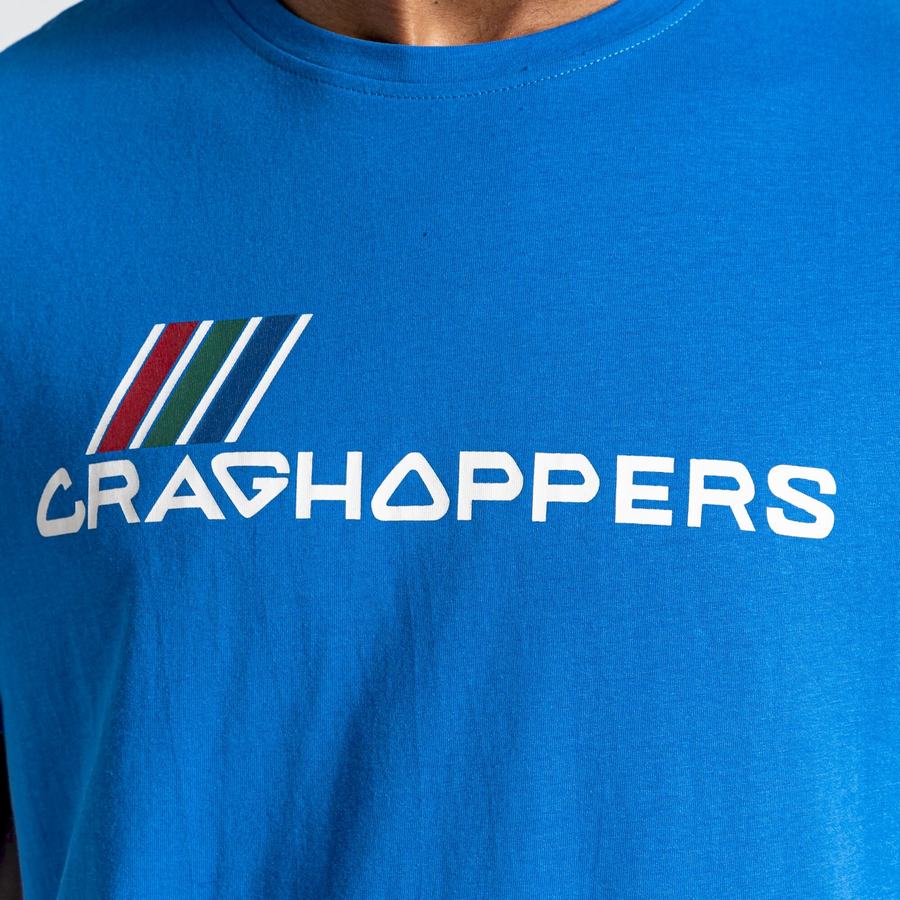 Blue Craghoppers Lugo Short Sleeved Men's T-Shirts | NJI334DQ