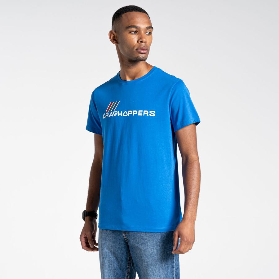 Blue Craghoppers Lugo Short Sleeved Men's T-Shirts | NJI334DQ