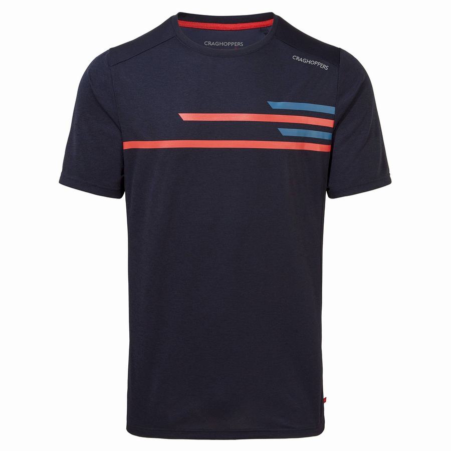 Blue Navy Craghoppers NosiLife Pro Active Short Sleeved Men's T-Shirts | KOB6719KT