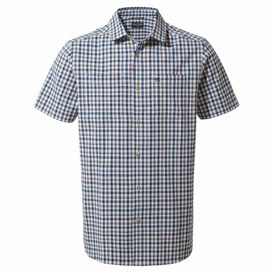 Blue Navy Craghoppers Nour Short Sleeved Check Men's Shirts | EXB1676ZE