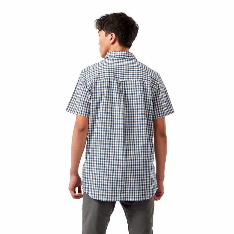 Blue Navy Craghoppers Nour Short Sleeved Check Men's Shirts | EXB1676ZE