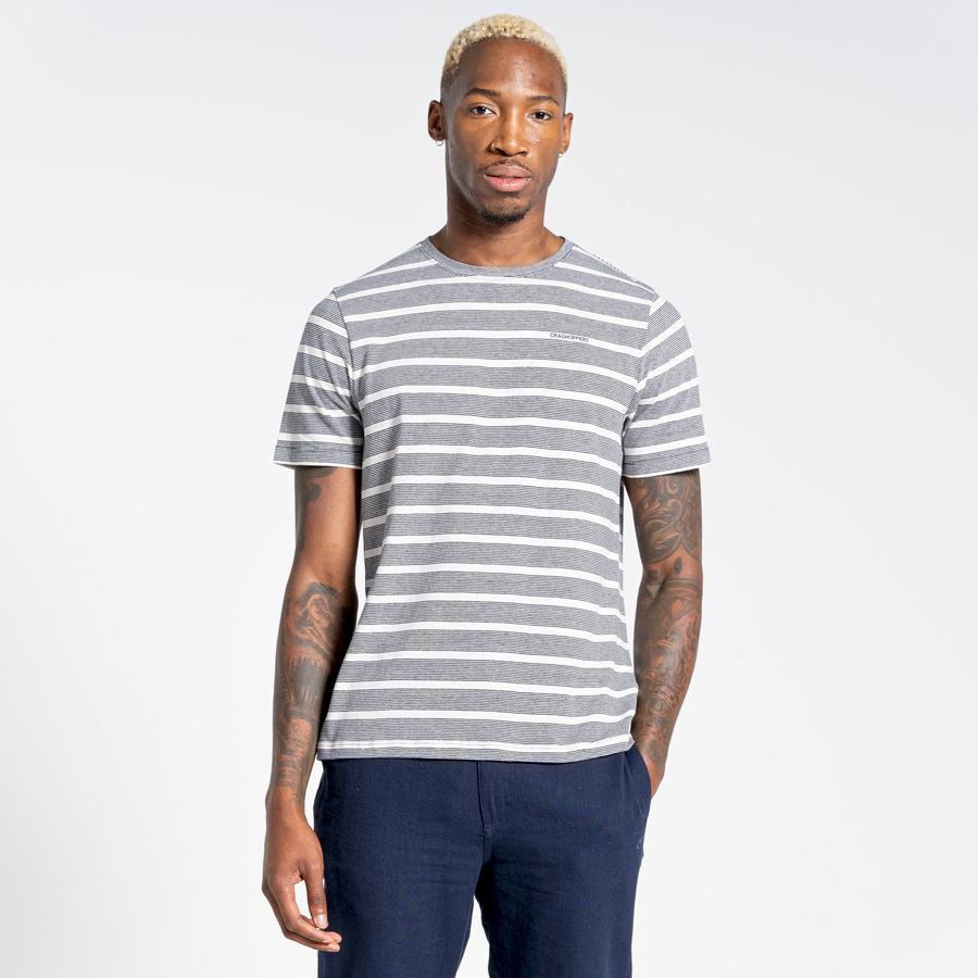 Blue Navy Stripes Craghoppers Nosibotanical Sten Short Sleeved Men's T-Shirts | ZUI4564UB