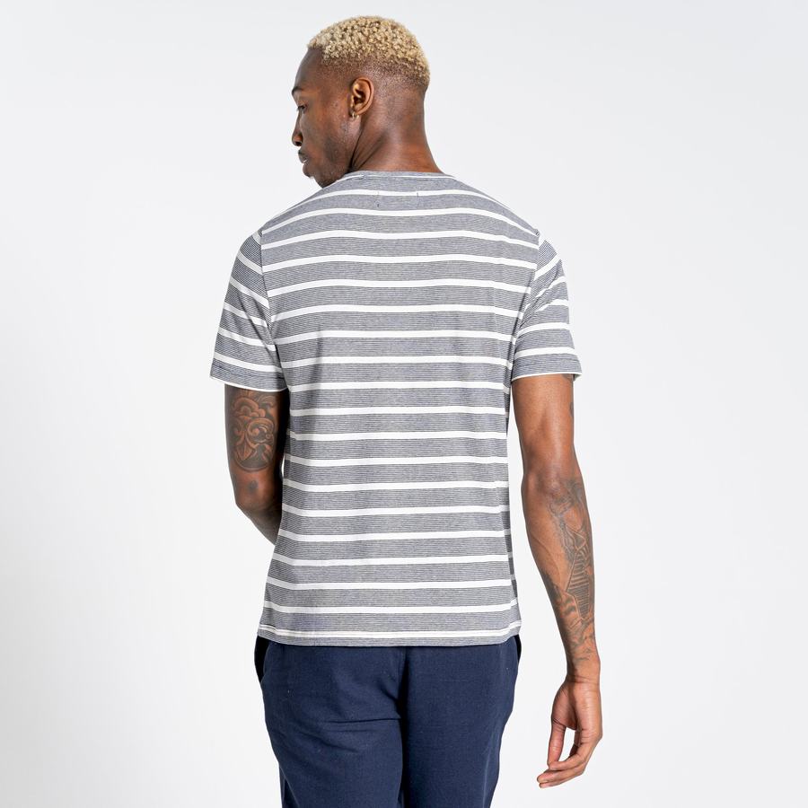 Blue Navy Stripes Craghoppers Nosibotanical Sten Short Sleeved Men's T-Shirts | ZUI4564UB