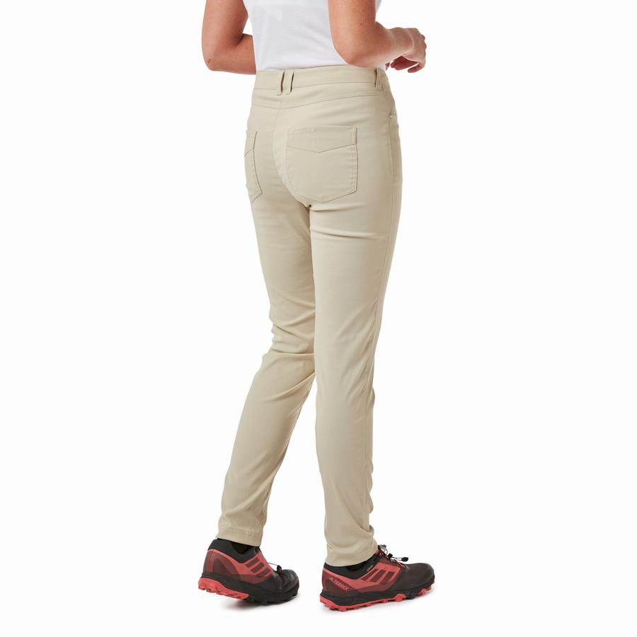 Brown Craghoppers Adventure Women's Trousers | TDZ1615MZ