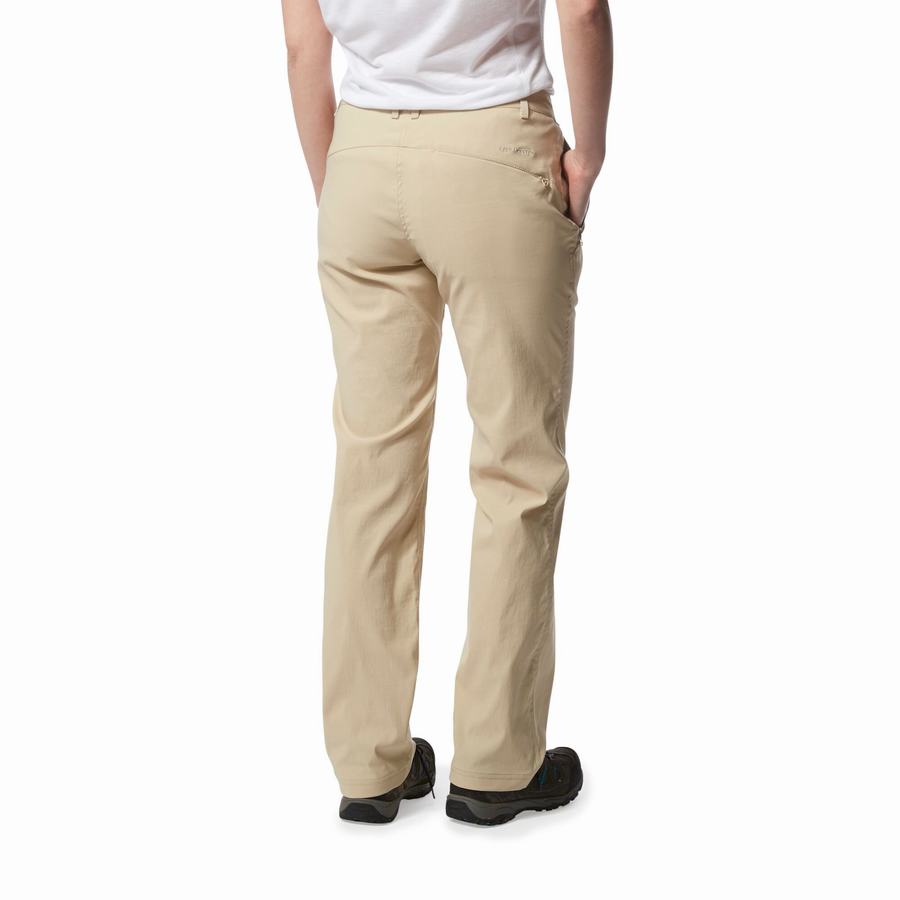 Brown Craghoppers Kiwi Pro II Women's Trousers | CJC9171HG