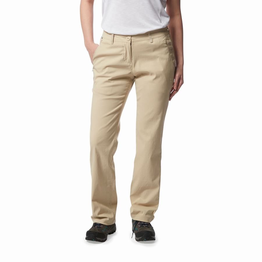 Brown Craghoppers Kiwi Pro II Women's Trousers | CJC9171HG