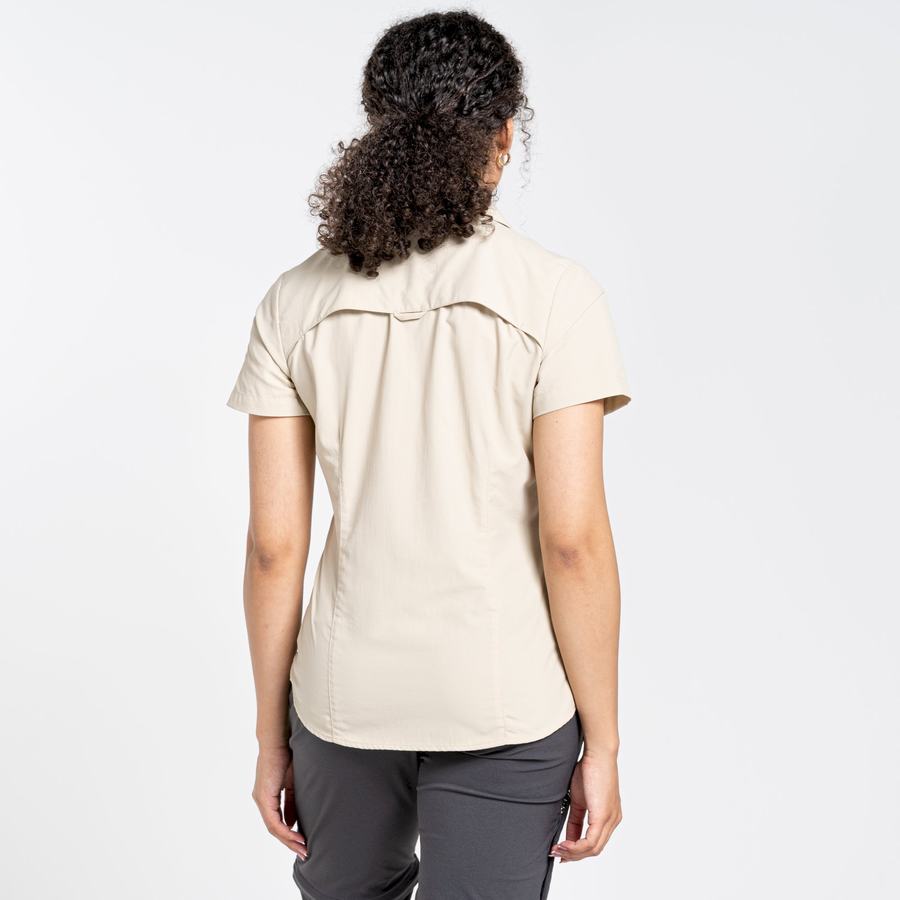 Brown Craghoppers NosiLife Adventure II Short Sleeved Women's Shirts | NAK8954PC