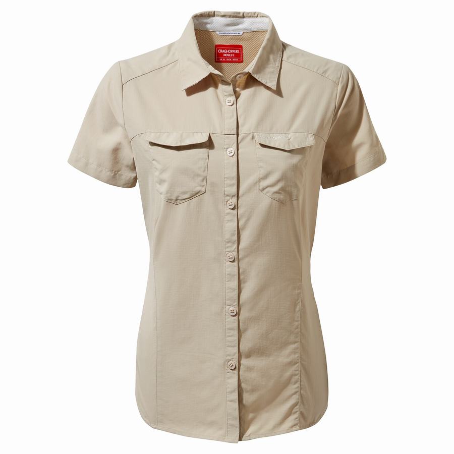 Brown Craghoppers NosiLife Adventure II Short Sleeved Women's Shirts | NAK8954PC