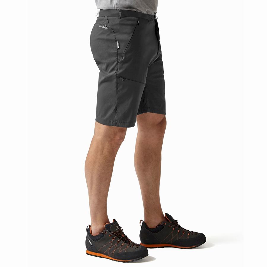 Dark Grey Craghoppers Kiwi Pro Men's Shorts | KNZ3440LT