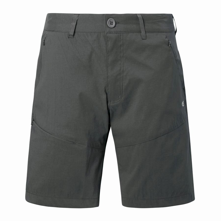 Dark Grey Craghoppers Kiwi Pro Men's Shorts | KNZ3440LT