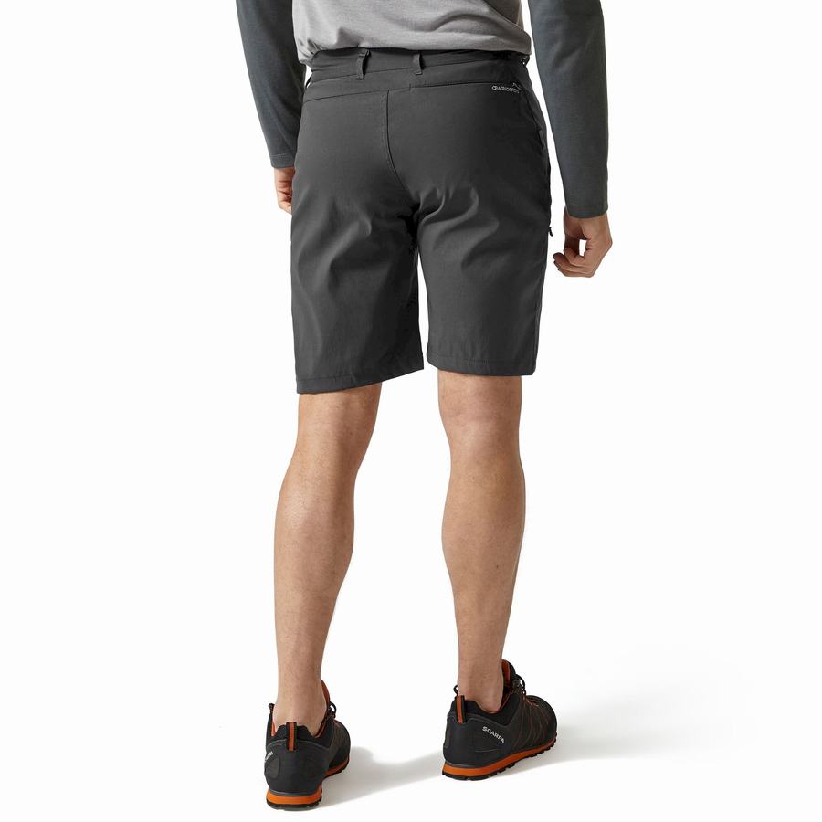 Dark Grey Craghoppers Kiwi Pro Men's Shorts | KNZ3440LT