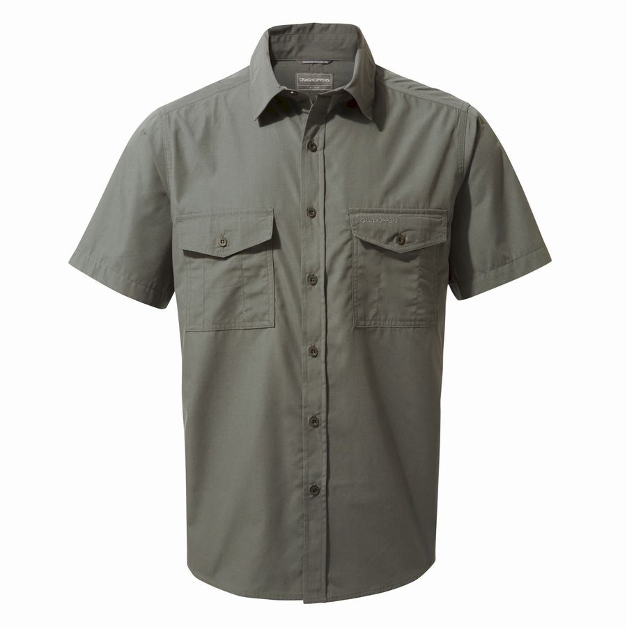 Dark Grey Craghoppers Kiwi Short Sleeved Men's Shirts | RMU9084ZN