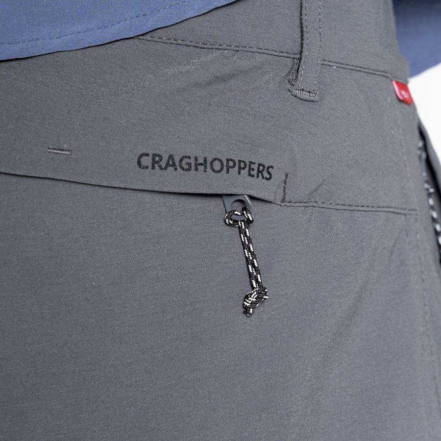 Dark Grey Craghoppers NosiLife Pro Active Men's Trousers | FEE8386AP