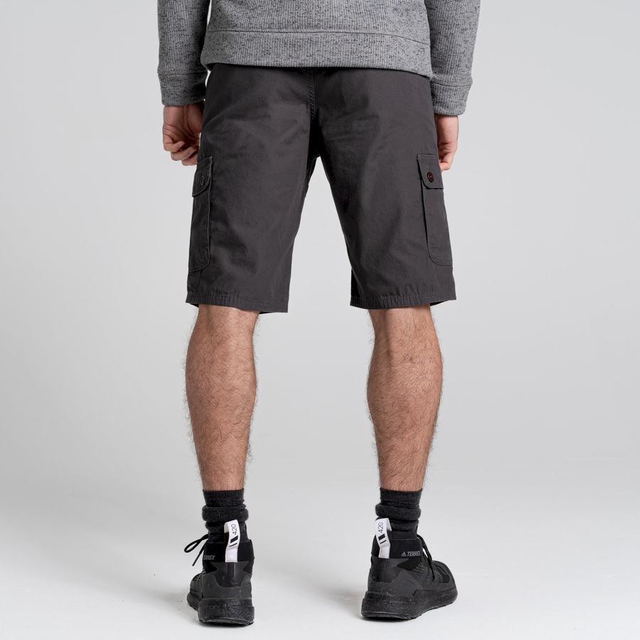 Dark Grey Craghoppers Thallon Men's Shorts | ZAE3182JJ