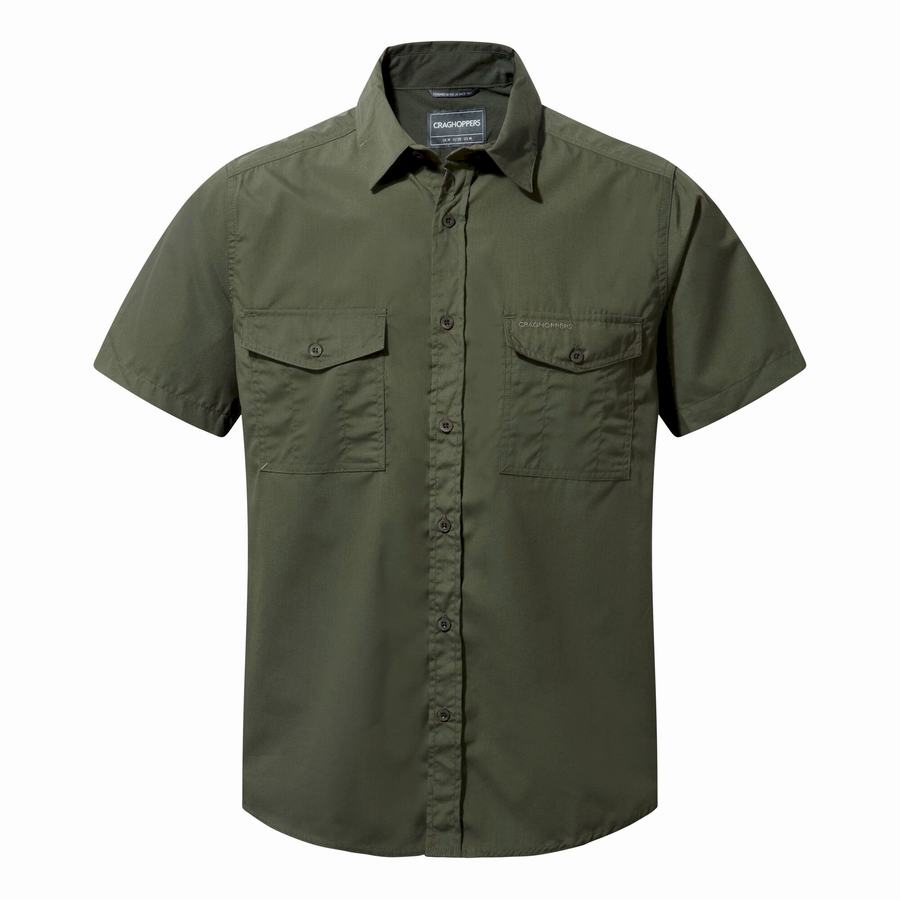 Deep Green Craghoppers Kiwi Short Sleeved Men's Shirts | AIU7162UN