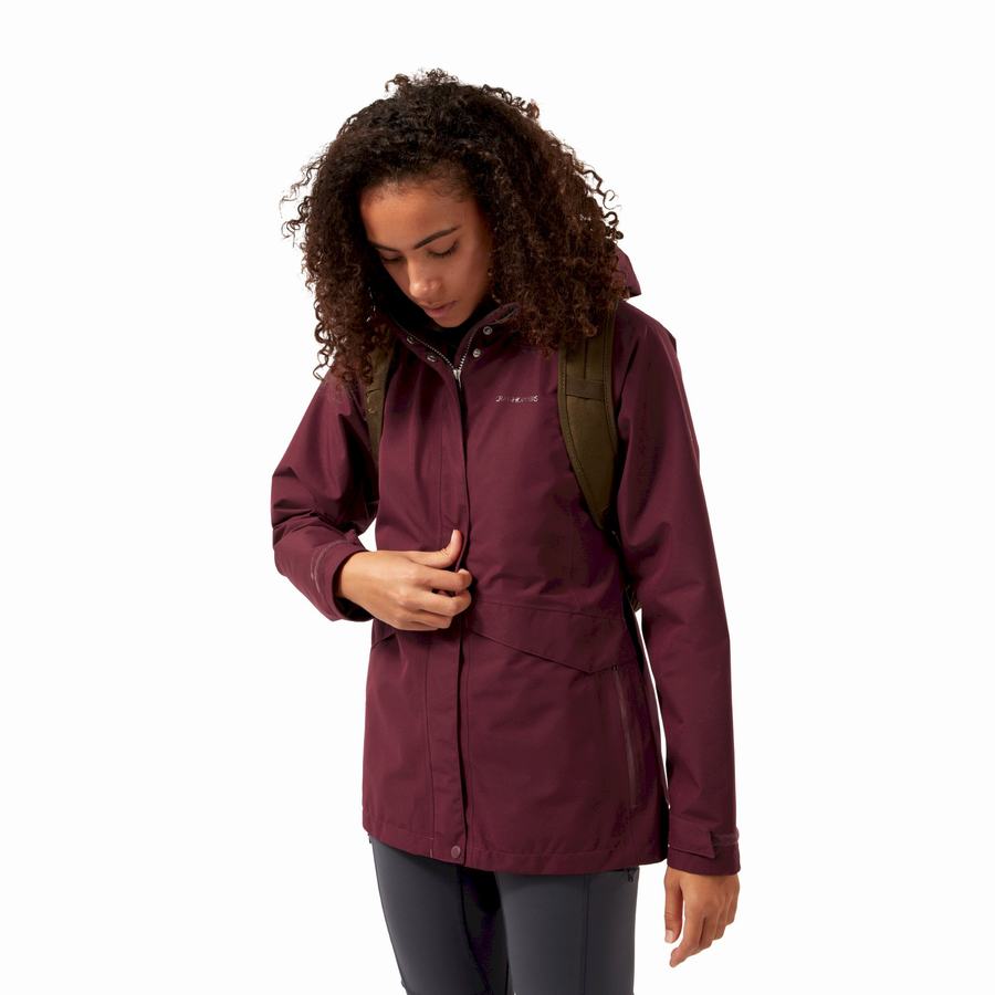 Deep Red Craghoppers Ellis GORE-TEX Women's Jackets | LRP4484QK