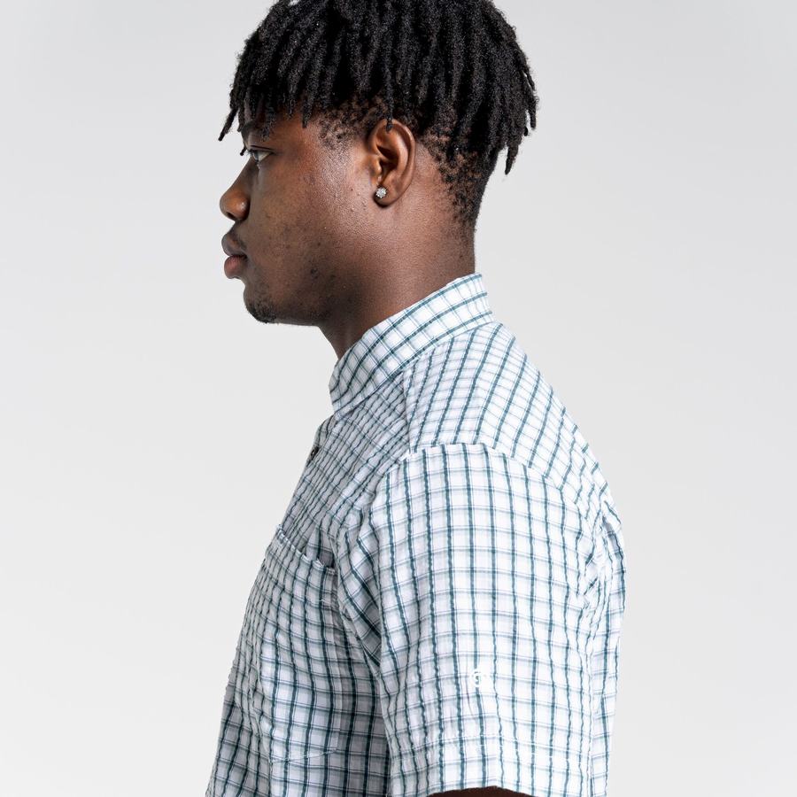 Green Craghoppers Dawson Short Sleeved Men's Shirts | IOZ589YK