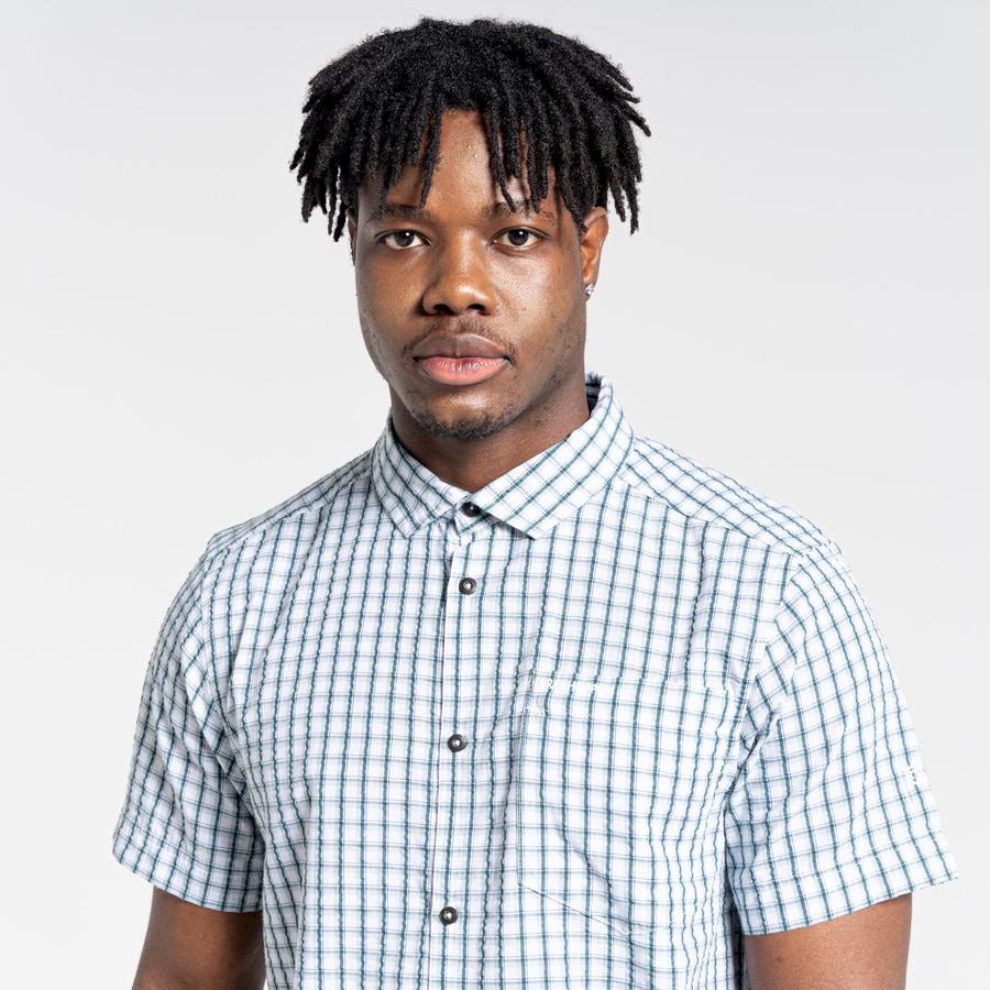 Green Craghoppers Dawson Short Sleeved Men's Shirts | IOZ589YK