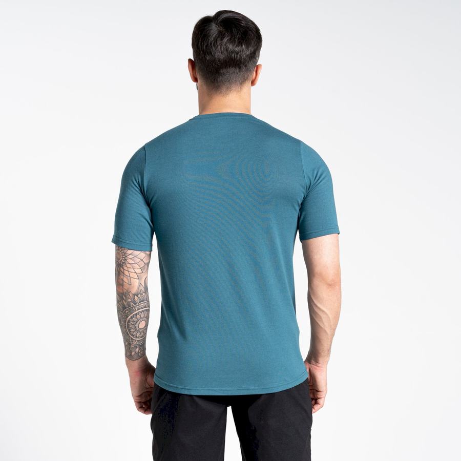 Green Craghoppers Dynamic Short Sleeved Men's T-Shirts | WMT8290RK