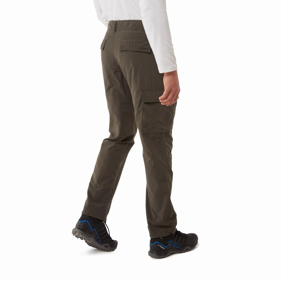 Green Craghoppers NosiLife Branco Men's Trousers | QGD4281PW