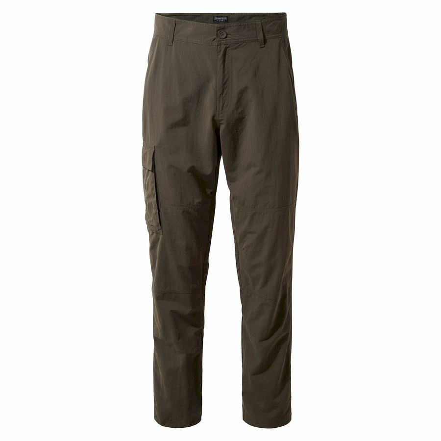 Green Craghoppers NosiLife Branco Men's Trousers | QGD4281PW