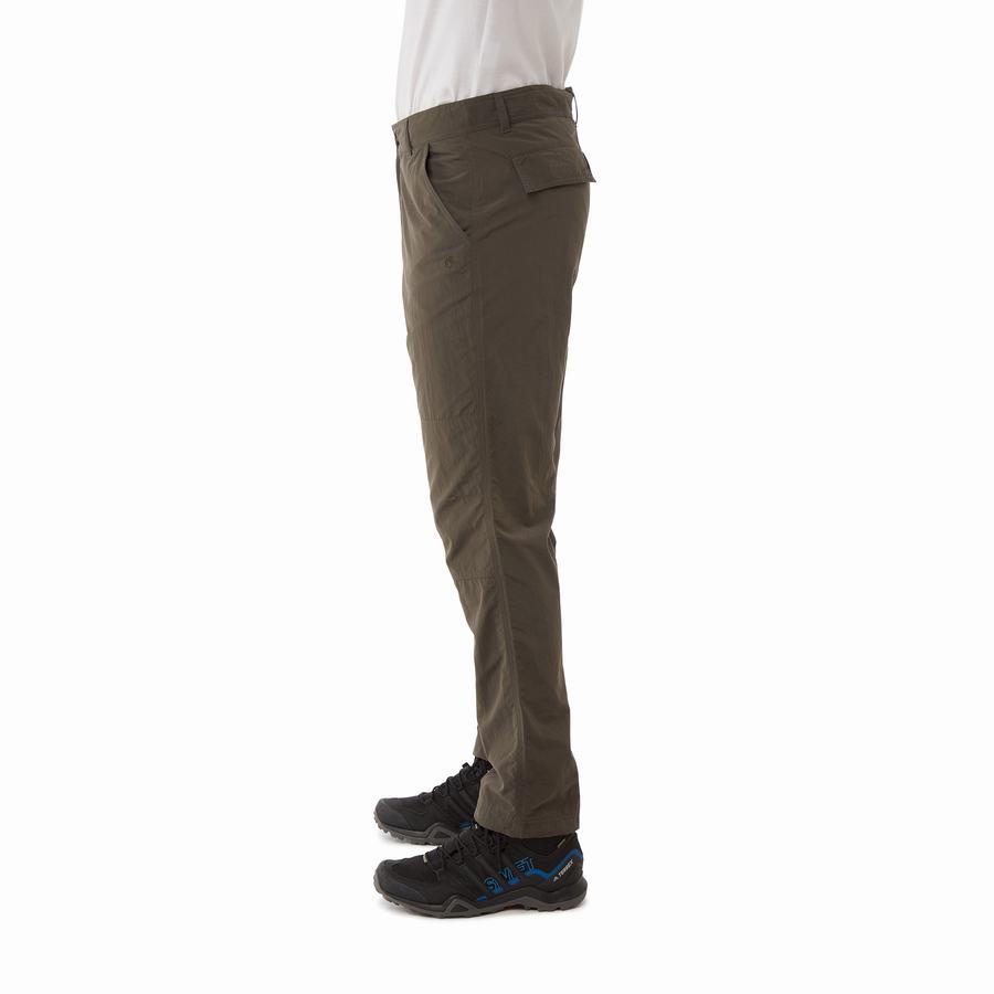 Green Craghoppers NosiLife Branco Men's Trousers | QGD4281PW