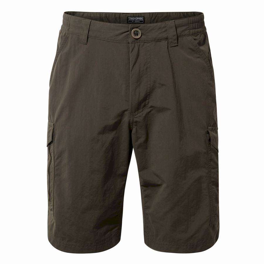 Green Craghoppers NosiLife Cargo II Men's Shorts | SEZ5874ZV