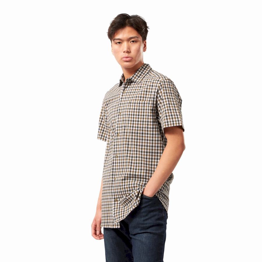 Green Craghoppers Nour Short Sleeved Check Men's Shirts | CYO5591HW