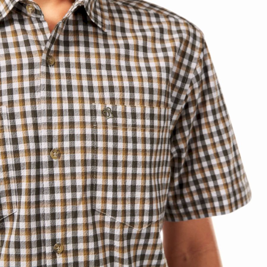 Green Craghoppers Nour Short Sleeved Check Men's Shirts | CYO5591HW