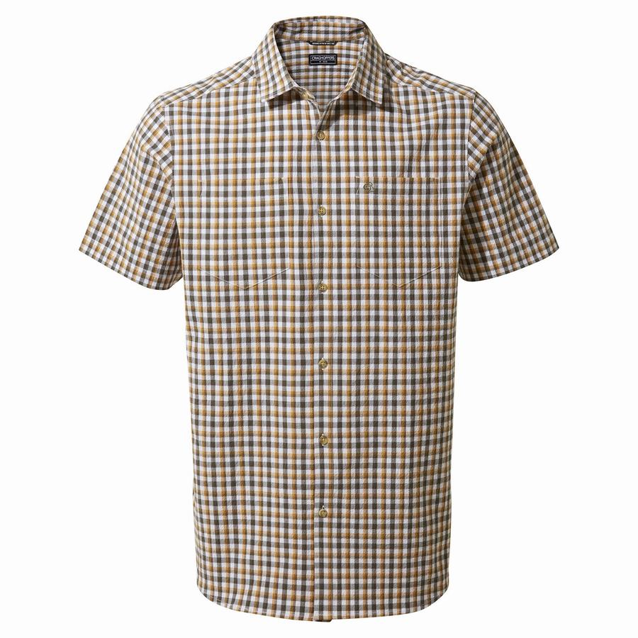 Green Craghoppers Nour Short Sleeved Check Men's Shirts | CYO5591HW