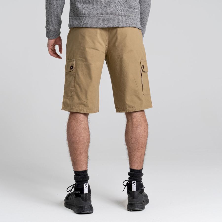 Green Craghoppers Thallon Men's Shorts | AGE4923RB