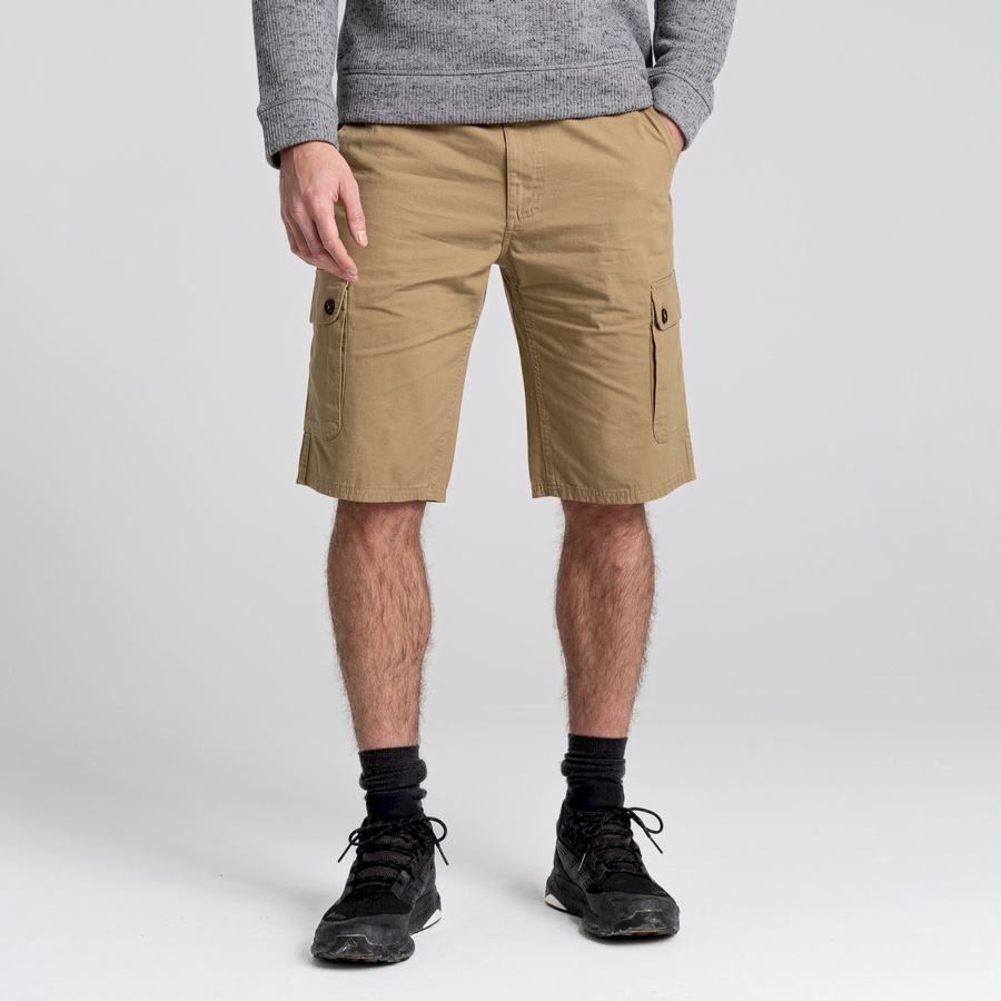 Green Craghoppers Thallon Men's Shorts | AGE4923RB