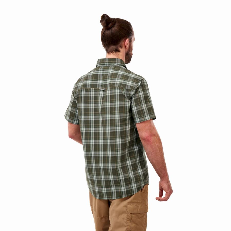 Green Craghoppers Vernon Short Sleeved Men's Shirts | EIC656RK