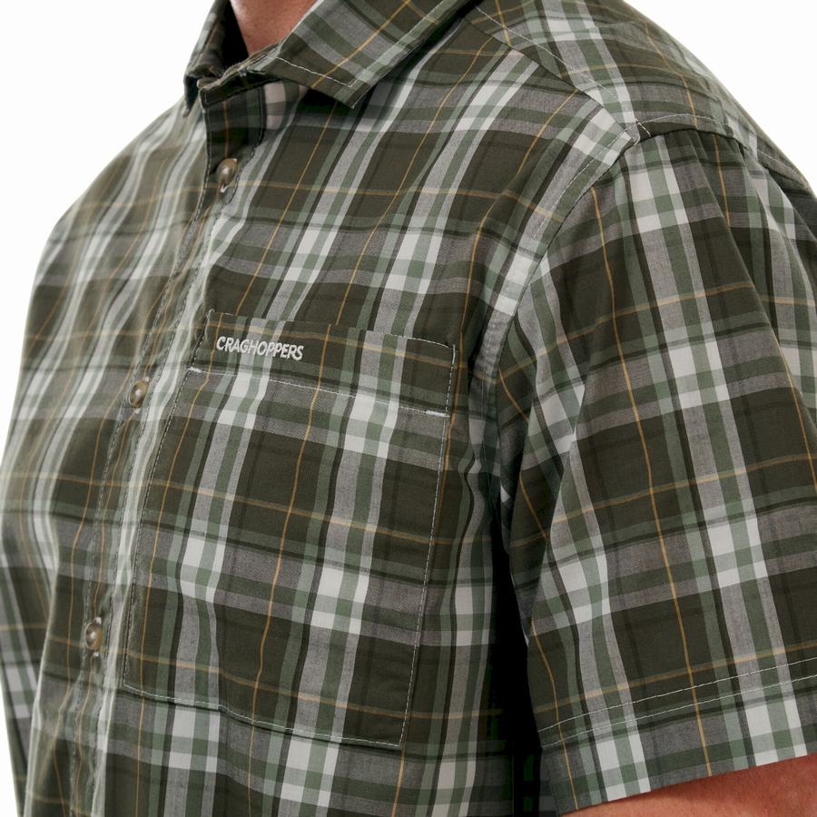 Green Craghoppers Vernon Short Sleeved Men's Shirts | EIC656RK