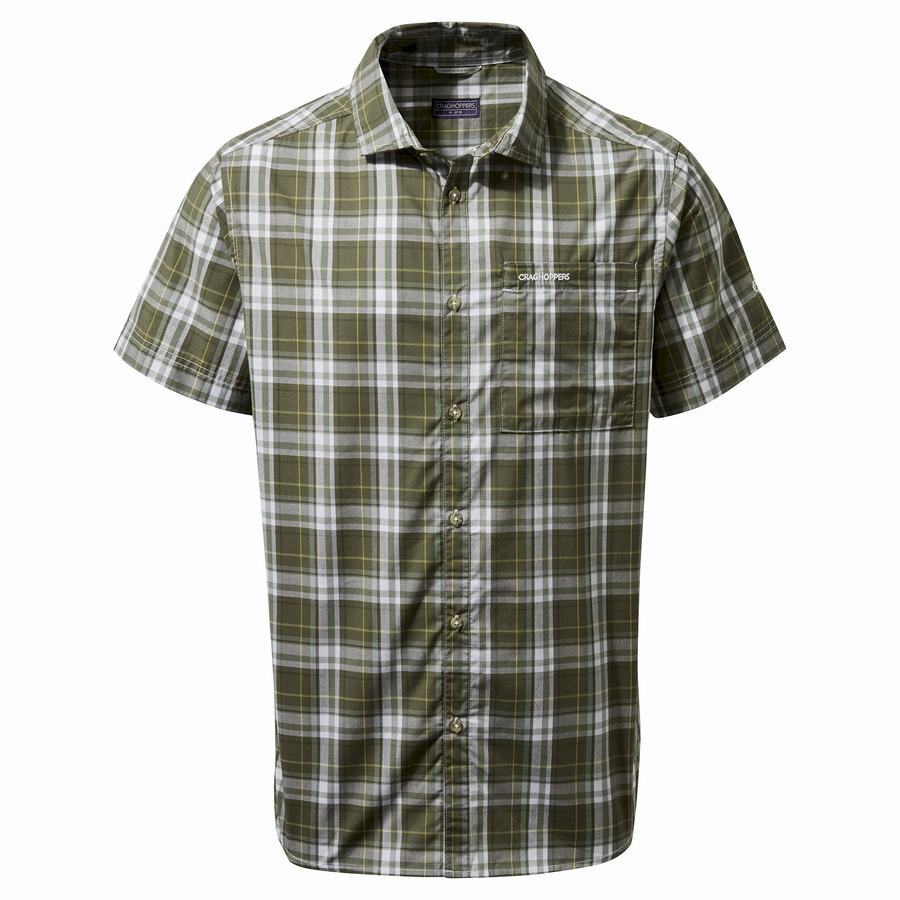 Green Craghoppers Vernon Short Sleeved Men\'s Shirts | EIC656RK