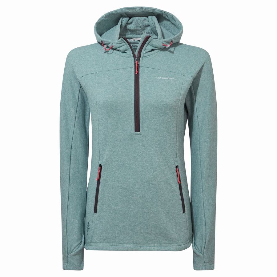 Green Grey Craghoppers Dynamic Hooded Half Zip Women's T-Shirts | BEZ9041UY