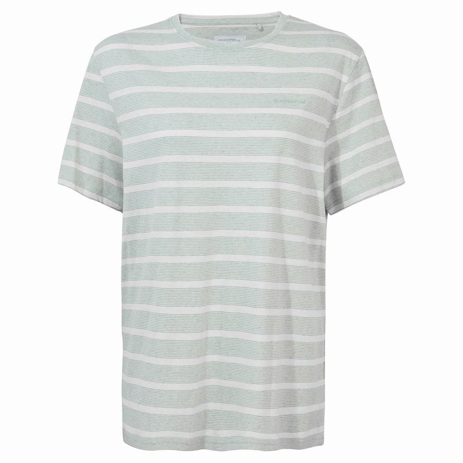 Green Stripes Craghoppers Nosibotanical Sten Short Sleeved Men's T-Shirts | WPL1953KY