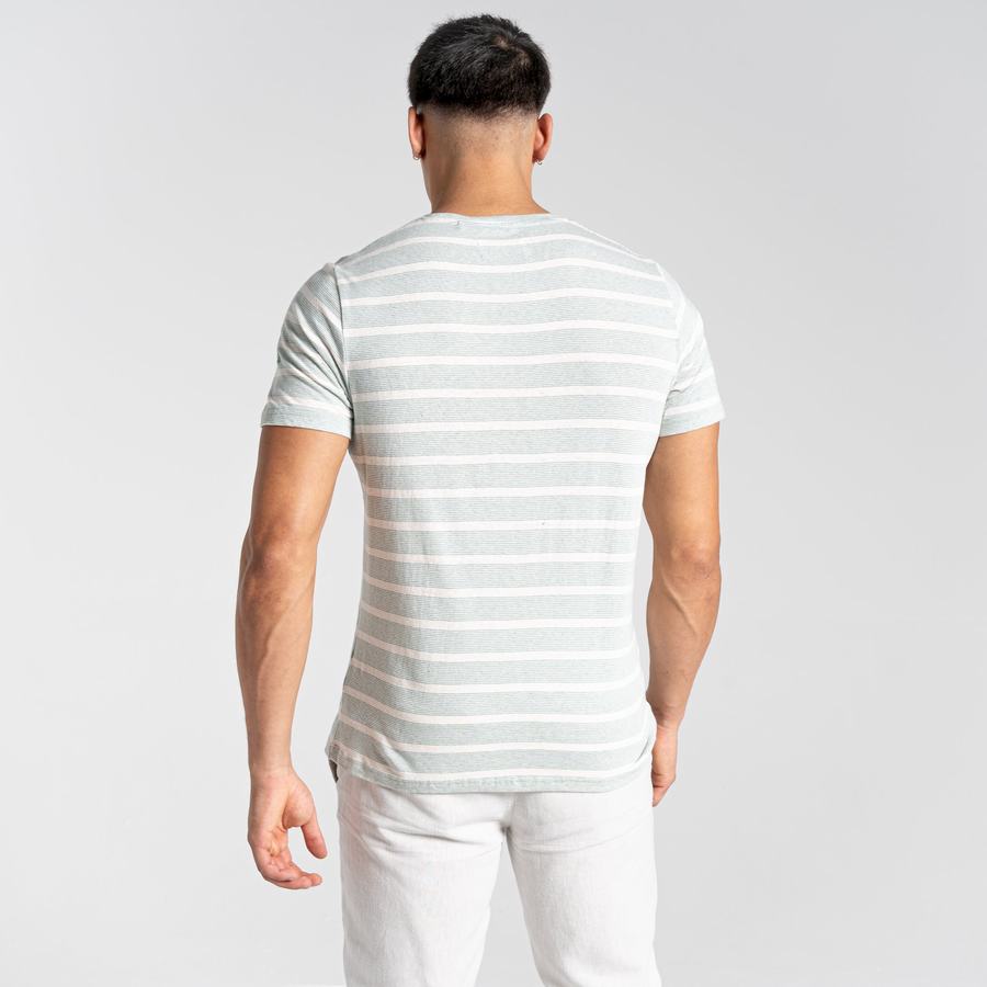 Green Stripes Craghoppers Nosibotanical Sten Short Sleeved Men's T-Shirts | WPL1953KY