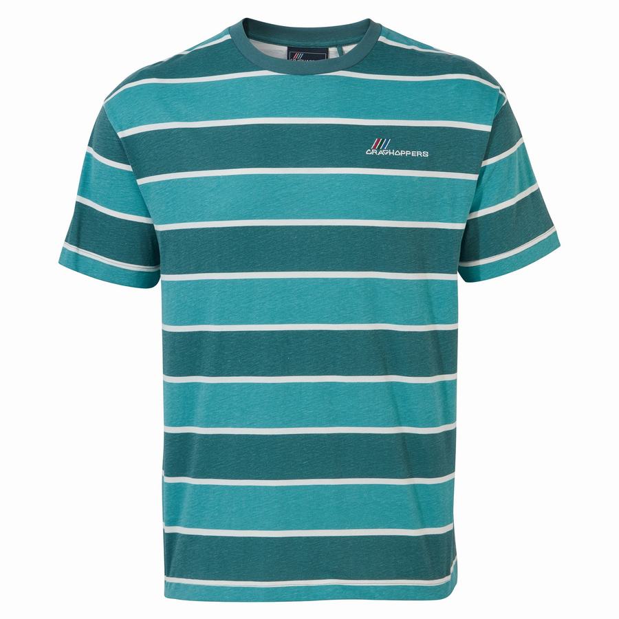 Green Stripes Craghoppers Ventura Short Sleeved Women's T-Shirts | KQH1118PA