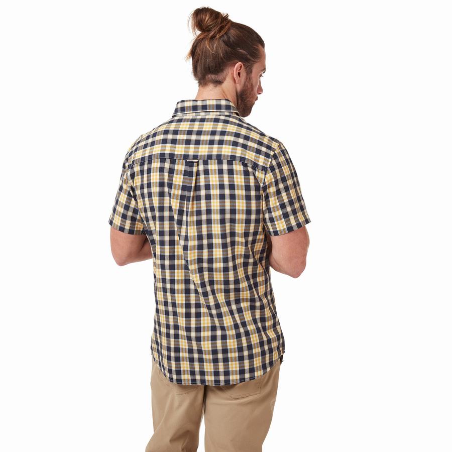 Grey Blue Craghoppers Jose Short Sleeved Men's Shirts | ZVJ111LZ