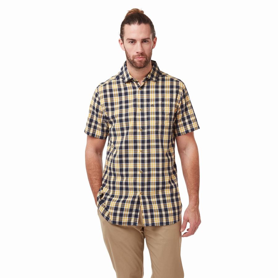 Grey Blue Craghoppers Jose Short Sleeved Men's Shirts | ZVJ111LZ