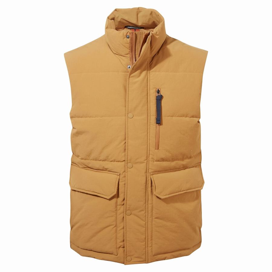 Grey Brown Craghoppers Dunbeath Vest Men\'s Gilets | KDB475WR