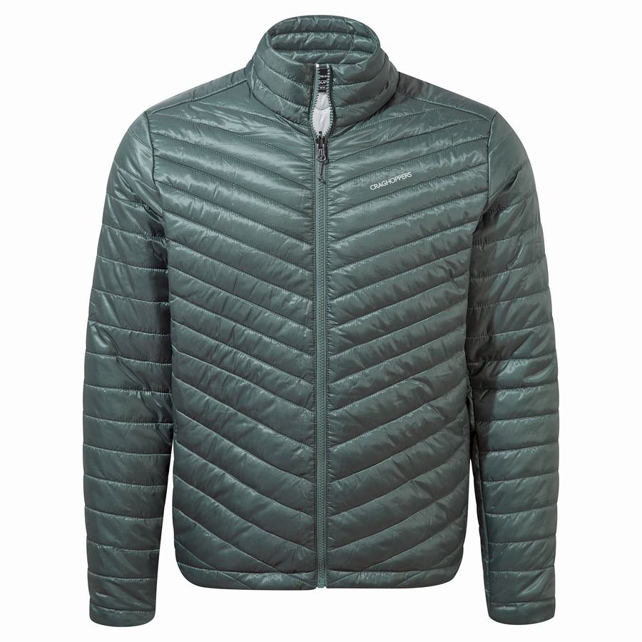 Grey Brown Craghoppers Lorton Pro 3 in 1 Men's Jackets | XMP8985DF