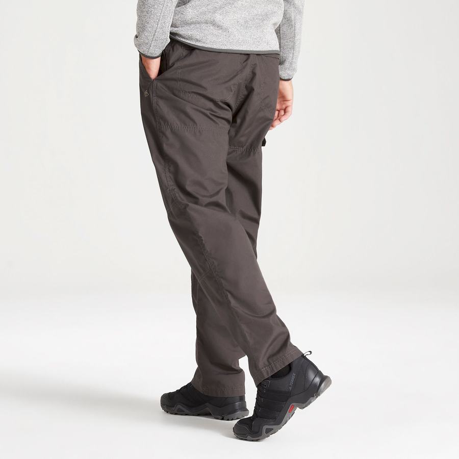 Grey Craghoppers Kiwi Classic Men's Trousers | OXG6046NE