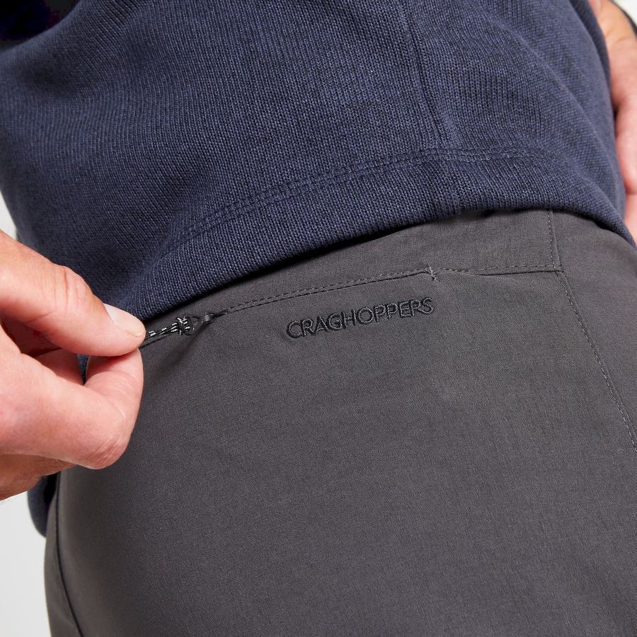 Grey Craghoppers Kiwi Pro II Men's Trousers | NNF5870HK