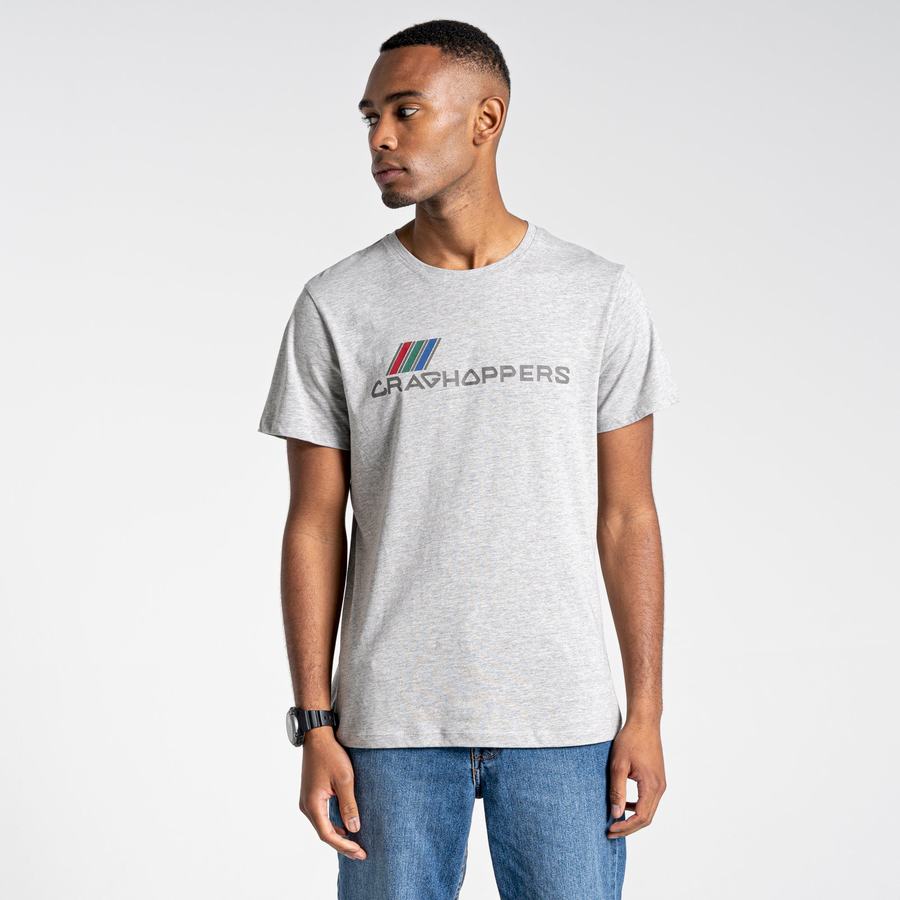 Grey Craghoppers Lugo Short Sleeved Men's T-Shirts | BOY1784YL