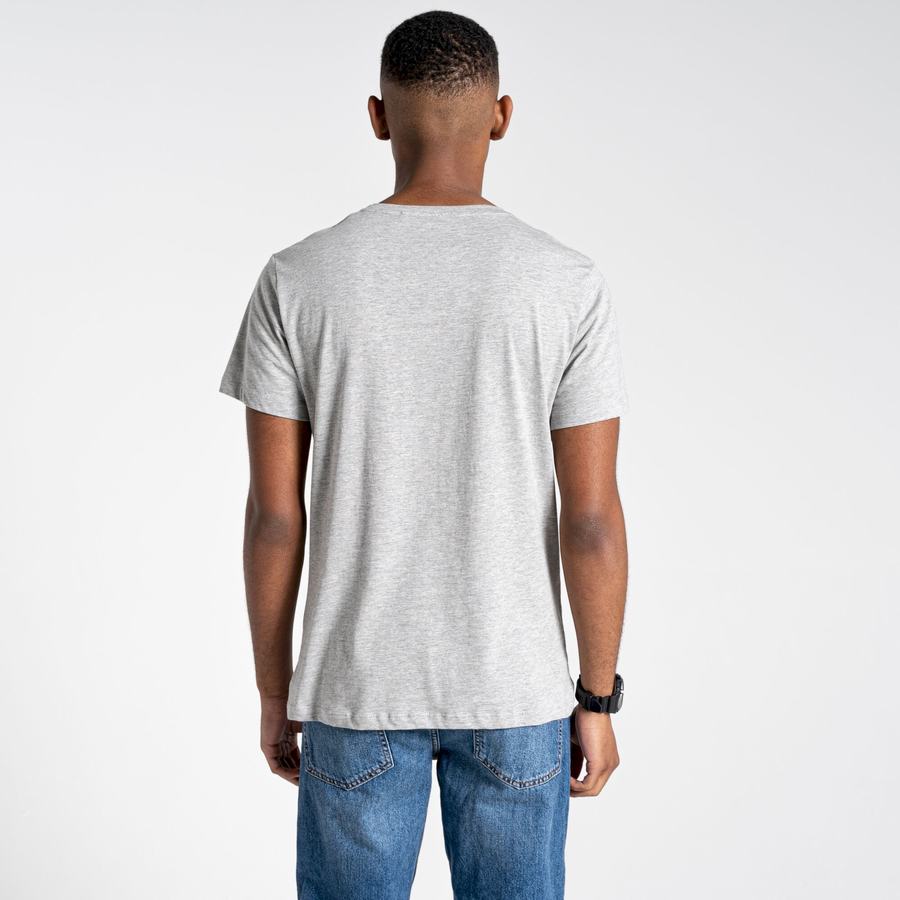 Grey Craghoppers Lugo Short Sleeved Men's T-Shirts | BOY1784YL