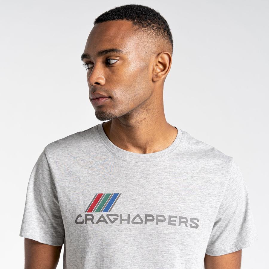 Grey Craghoppers Lugo Short Sleeved Men's T-Shirts | BOY1784YL