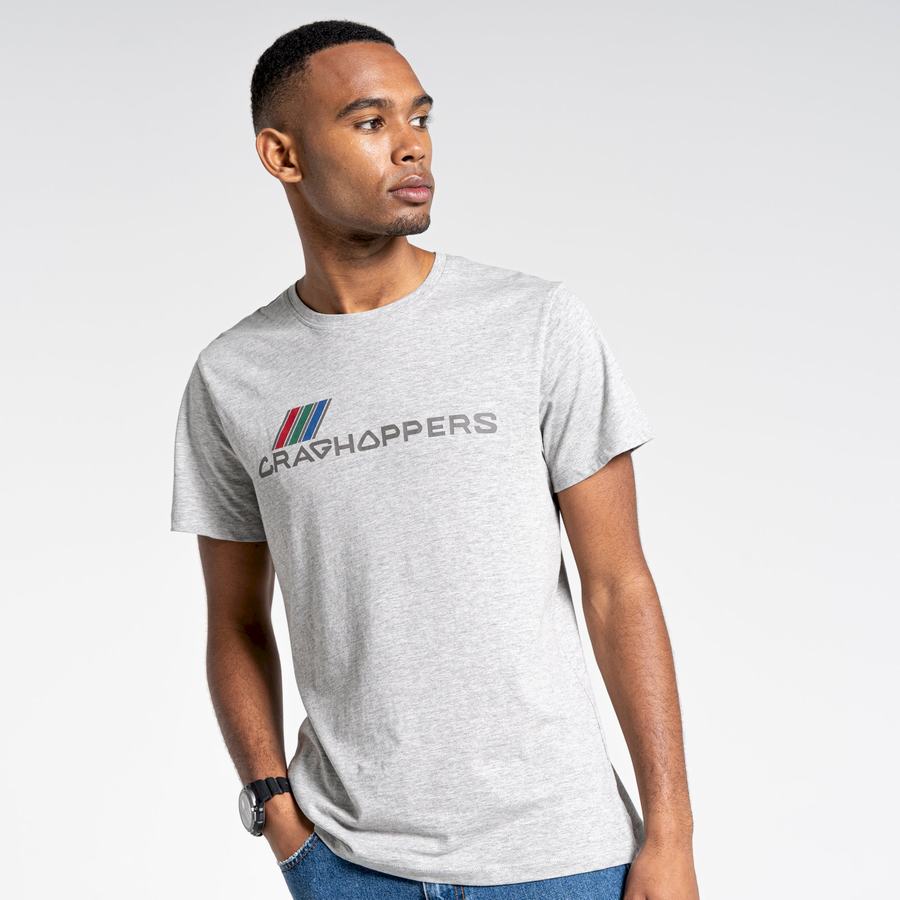 Grey Craghoppers Lugo Short Sleeved Men's T-Shirts | BOY1784YL